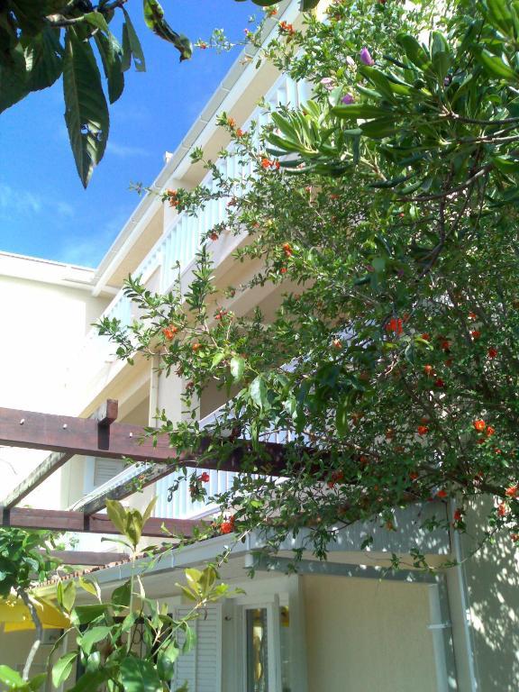 Villa Tenzera Herceg Novi Exterior foto